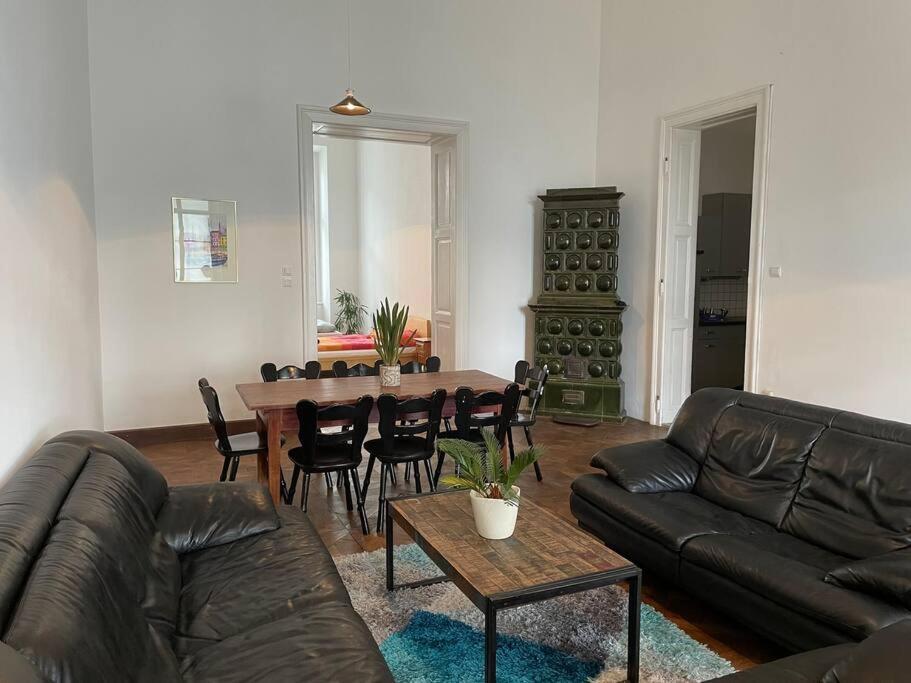 Geraeumige Altbauwohnung Im Zentrum Apartment *